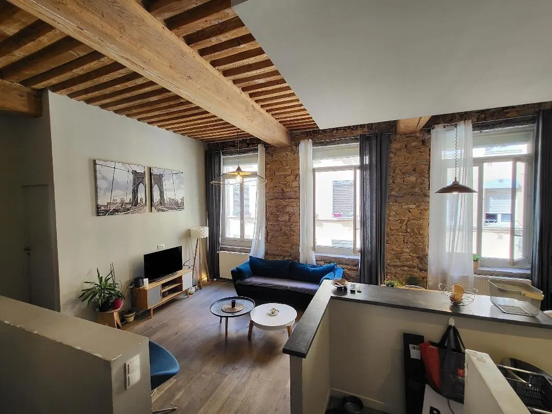 Apartment Superbe Appartement Coeur Croix Rousse Lyon France