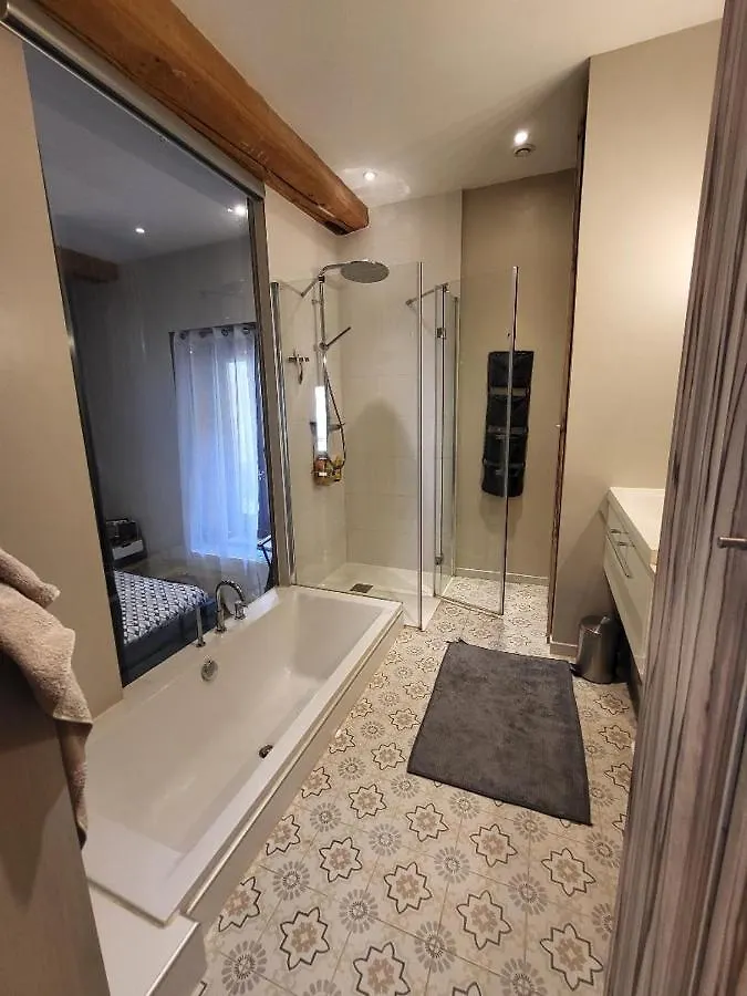 Superbe Appartement Coeur Croix Rousse Lyon 0*,  France